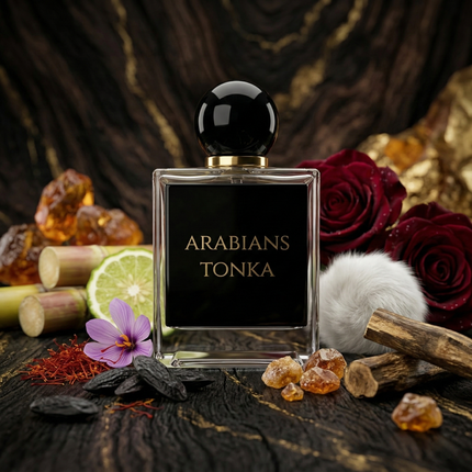 Arabians Tonka