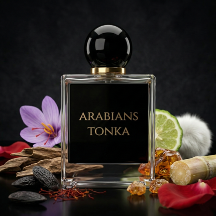 Arabians Tonka