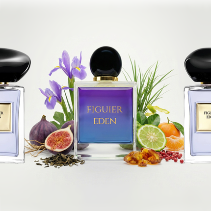 Figuier Eden