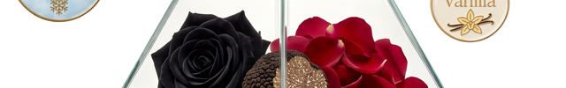 Fragrance notes of Noir de Noir: Saffron, Black Rose, Truffle, Floral Notes, Patchouli, Vanilla, Oud, Moss. 

Accords: Rose, Earthy, Woody, Oriental, Vanilla

Gender: Unisex

When to wear: Winter, Fall, Early Spring.

Viral Parfums version of scent inspired by Tom Ford