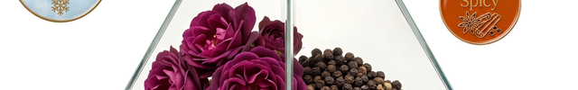 Fragrance notes of Sables Roses: Saffron, Bulgarian Rose, Black Pepper, Rose, Agarwood (Oud), Ambergris. Viral Parfums version of scent inspired by Louis Vuitton

Accords: Rose, Oud, Warm Spicy, Woody, Oriental

Gender: Unisex

When to wear: Winter and Fall, Early Spring.